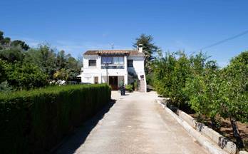 1135 casas en venta senija