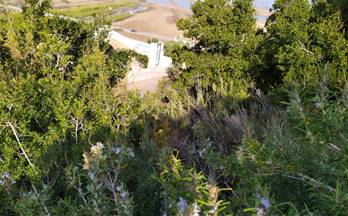184 terrenos y fincas en venta benidoleig