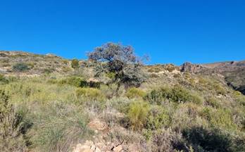 4 terrenos y fincas en venta antas