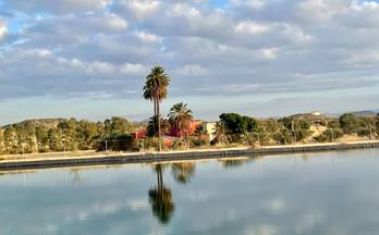 3 terrenos y fincas en venta vera