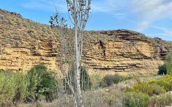 4 terrenos y fincas en venta turre