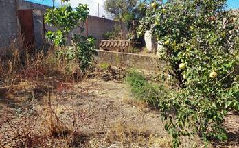 37 terrenos y fincas en venta fuente del maestre