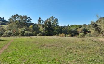 12 terrenos y fincas en venta cordoba