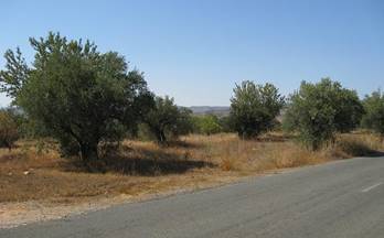 45 casas en venta lucena