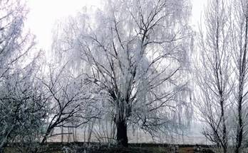 59 casas en venta leon provincia