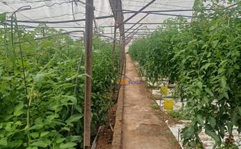 25 casas en venta parador de las hortichuelas
