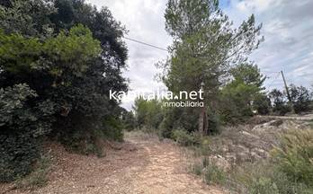 9 terrenos y fincas en venta alfafara