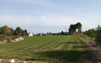 395 casas en venta callosa de segura