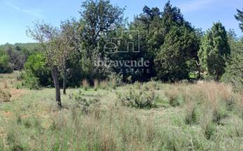 venta terrenos solares santa eulalia del rio 