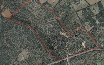 43 terrenos y fincas en venta pina