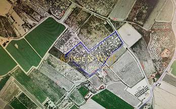 436 terrenos y fincas en venta alicante provincia