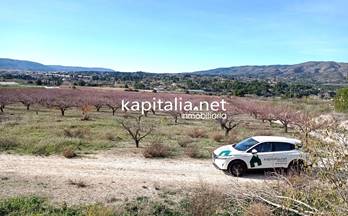 82 terrenos y fincas en venta ontinyent