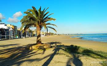 38 pisos en venta torrenostra