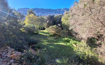 225 terrenos y fincas en venta llosa de camacho