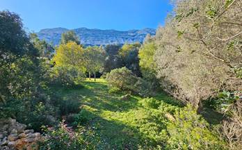 179 terrenos y fincas en venta benidoleig