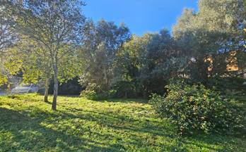 226 terrenos y fincas en venta beniarbeig