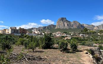 436 terrenos y fincas en venta alicante provincia