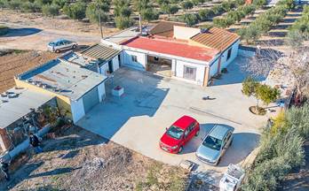 141 casas en venta aspe