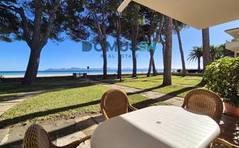 alquiler apartamento alcudia 