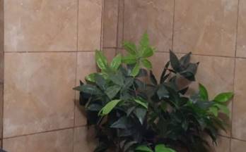 171 casas en venta l´aldea