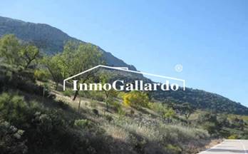 venta terrenos solares resto provincia alfarnatejo