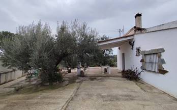 70 terrenos y fincas en venta vinallop