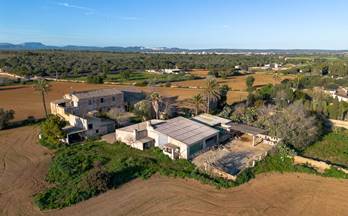venta finca rustica campos campos