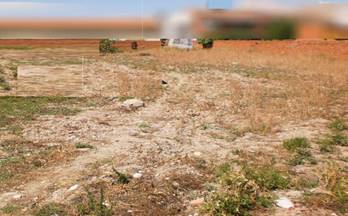 208 terrenos y fincas en venta madrid provincia