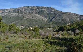 60 terrenos y fincas en venta beniarda