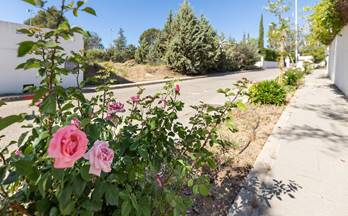 88 terrenos y fincas en venta huetor de santillan