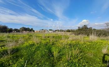 412 terrenos y fincas en venta islas baleares provincia