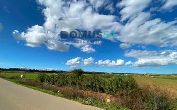 63 terrenos y fincas en venta ariany