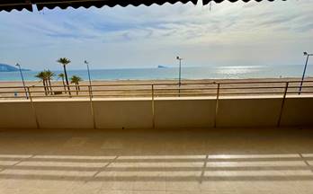 819 pisos en venta el albir