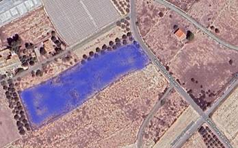 5 terrenos y fincas en alquiler elche elx