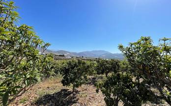 venta finca rustica salobreña matagallares