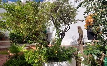 87 casas en venta molvizar