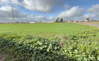 venta terrenos solares gibraleon andalucia