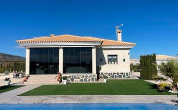 venta villa pinoso camino del prado