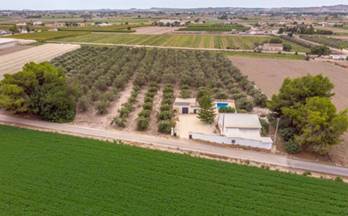 520 casas en venta almoradi