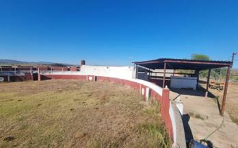 4 terrenos y fincas en venta galisteo