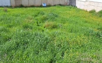 55 terrenos y fincas en venta los santos de maimona