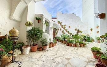 3 casas en venta paterna de rivera