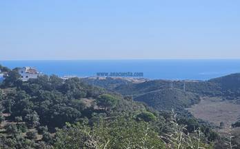 8 terrenos y fincas en venta casares