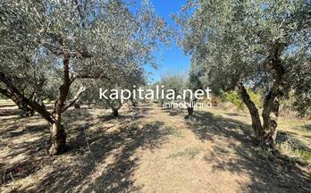 103 terrenos y fincas en venta l´ olleria