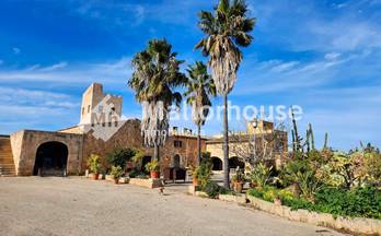 venta masia santa margalida santa margalida