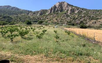 16 casas en venta alfarnate