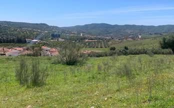 venta terrenos solares alcaucin venta baja