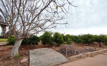 25 terrenos y fincas en venta villarreal vila real