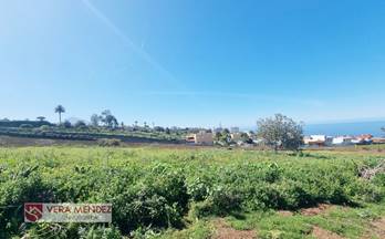 venta finca rustica tacoronte la caridad