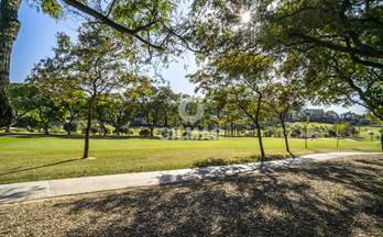 359 apartamentos en venta guadalmina